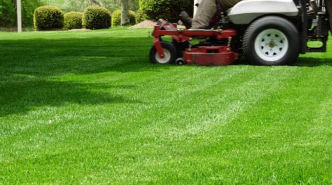 Markham Toronto Landscape Maintenance Services grass cutting