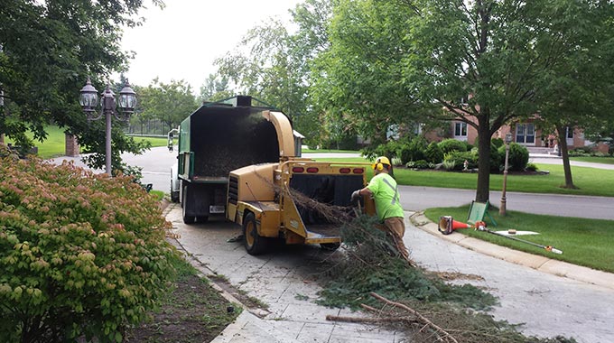 Markham Toronto Landscape Services planting flowers trees